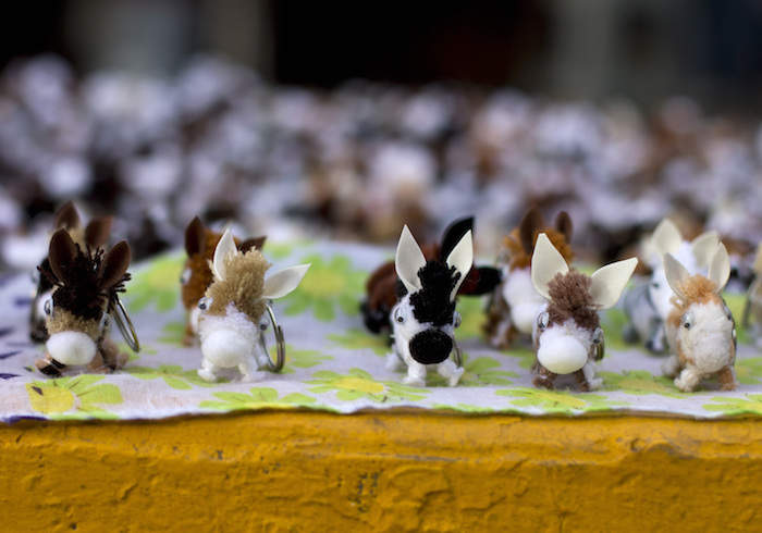 Ante el descenso en la población de burros, la familia Flores, de Otumba, decidió abrir un santuario financiado con donaciones llamado "Burrolandia". Foto: AP