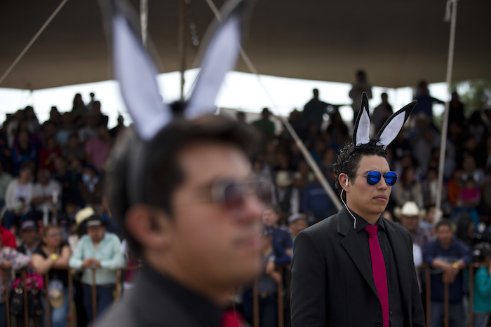 Hombres utilizan orejas de burro y visten como elementos de seguridad mientras caminan junto a un burro y un cerdo disfrazados de Donald Trump. Foto: AP