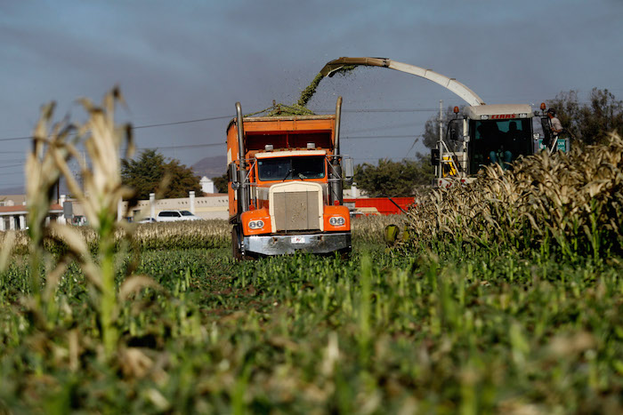 Las granjas representan aproximadamente el 82 por ciento de todo el consumo de agua y no tienen que pagar por ello. Foto: Archivo Cuartoscuro