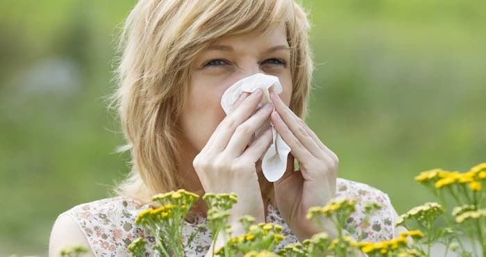 Ésta estará disponible para iOS y Android y actualizará semanalmente la información polínica en España. Foto: Shutterstock.