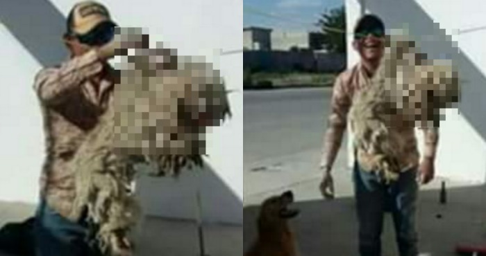 agente Pedro Natael Morones Tena fue retirado de su cargo tras difundir la imagen de un perro al que colgó de un tendedero. Foto: Especial.