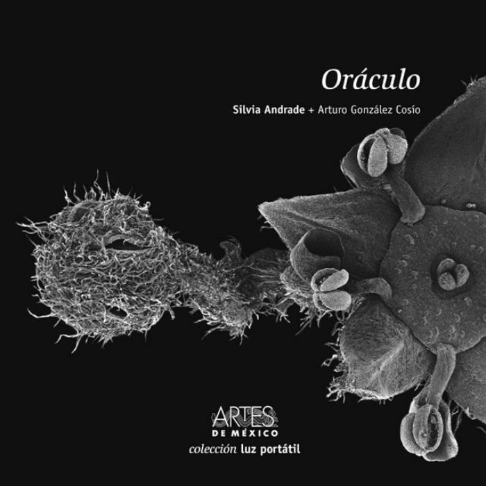 Un nuevo libro para la colección Luz Portátil. Fotografía: RAM