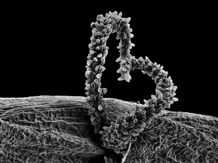 Este libro sugiere que el nuevo viaje sea hacia el interior, pues está concebido en la meditación. Foto: Silvia Andrade