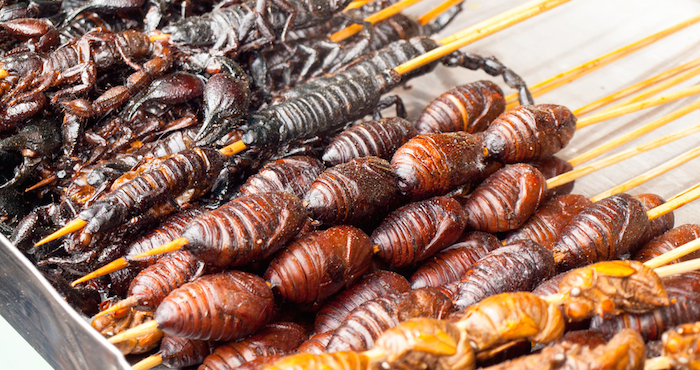 Los insectos comestibles son considerados como una alternativa ecológica y éticamente sensata frente al consumo de carne. Contienen gran cantidad de proteínas y su cría podría jugar un rol importante en la lucha contra el hambre y la desnutrición. Foto: Archivo