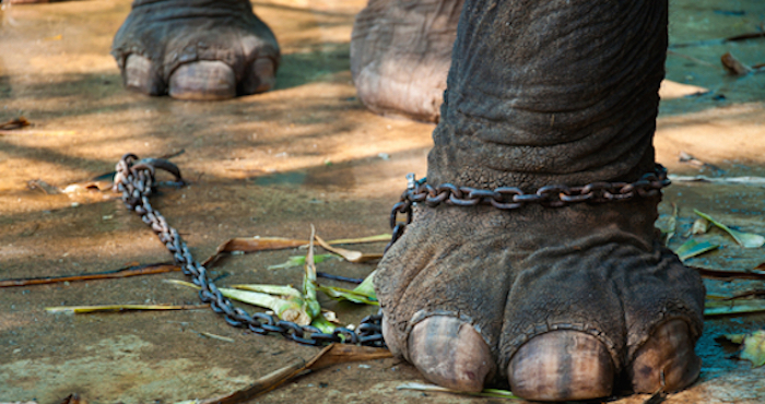 Foto: Archivo/Shutterstock.