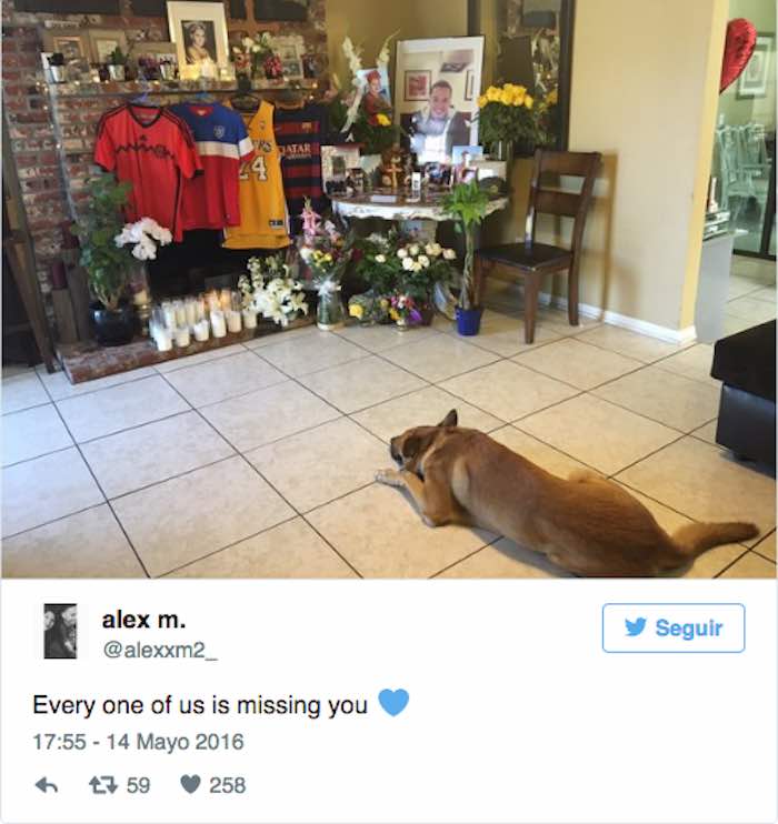 El tweet de Alexandra Martínez en donde Jax se posa frente al retrato de su amo. Foto: @alexxm2_