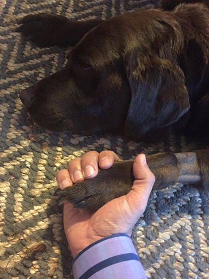 Esta fue la foto con la que el famoso acompañó su publicación. Foto: Facebook