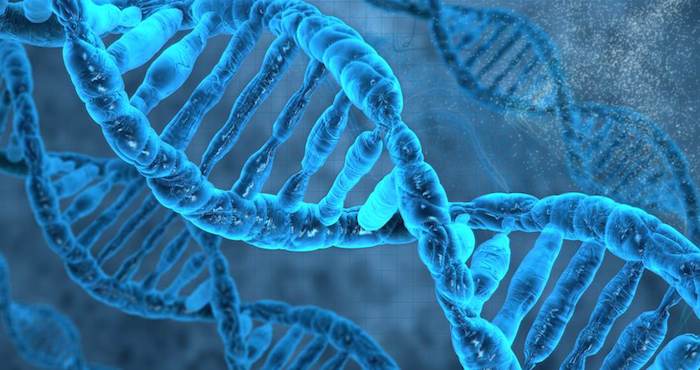 El proyecto buscaría la participación pública y estudiaría las implicaciones éticas, sociales y jurídicas de los trabajos desde el principio. Foto: Shutterstock.