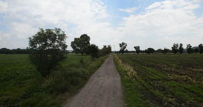 Foto: Arnoldo Cuéllar Ornelas, Zona Franca.