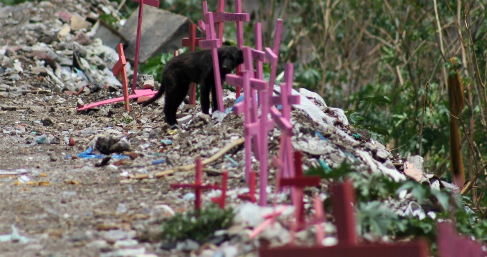 feminicidios en Puebla