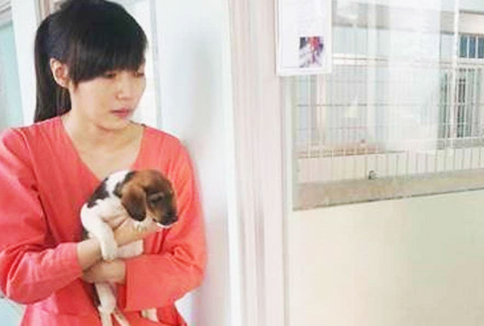 Jian salió de la universidad en su natal Taiwán y comenzó a trabajar en un refugio estatal que le permitía responder al llamado de su vida: ayudar a los animales. Pero pronto resultó que por cada animal herido que traía, rehabilitaba, esterilizaba y dejaba listo para su adopción, docenas más llegaban, y pronto se enfrentó a la política del refugio: la sobrepoblación debía eliminarse para que nuevos animales pudieran llegar, y al cabo de dos años Jian Zhicheng había tenido que “dormir” a más de 700 perros sanos. Foto: Internet