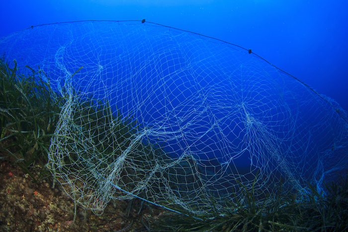 Más de 640 mil toneladas de redes, líneas y trampas para peces se desechan en el mar cada año. Foto: Shutterstock.