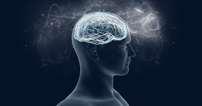 Variaciones genéticas del gen COMT y la medida de la fuerza de la red de comunicaciones del cerebro, la llamada "materia blanca", constituyeron el 46 por ciento de las razones por las que algunos estudiantes lograron mejores resultados que otros en la clase de lengua extranjera. Foto: Archivo