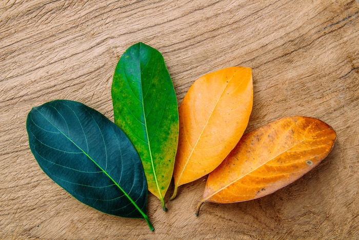 Cambiar es obligatorio. Es obligatorio porque es natural. Foto: Shutterstok