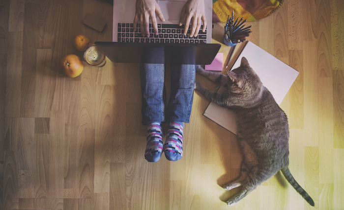 Estos cursos no tienen costo sólo si quieres la certificación de las universidades que lo imparten. Foto Shutterstock