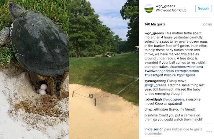 La foto que tomo el campo de golf de la tortuga. Foto: Instagram/ Wildwood Golf Club
