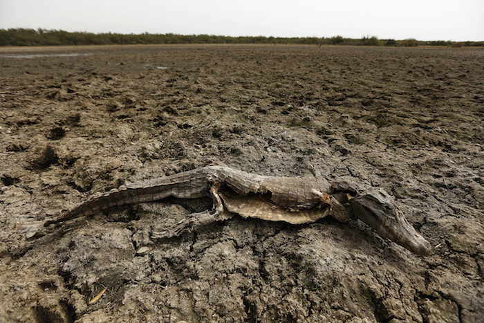 Se considera que esta obstrucción de agua se debe a negligencia del actual gobierno. Foto AP