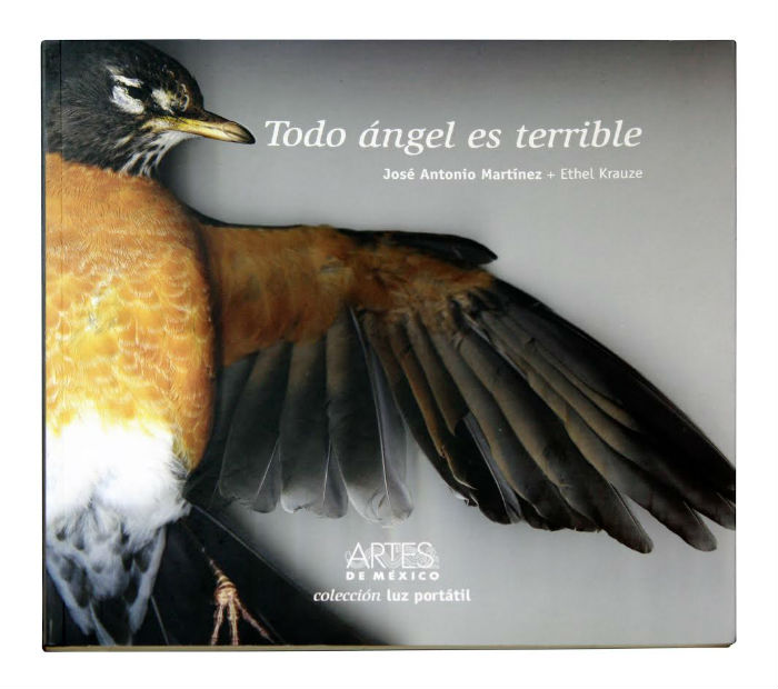 Una publicación de Revista Artes de México. Foto: Especial