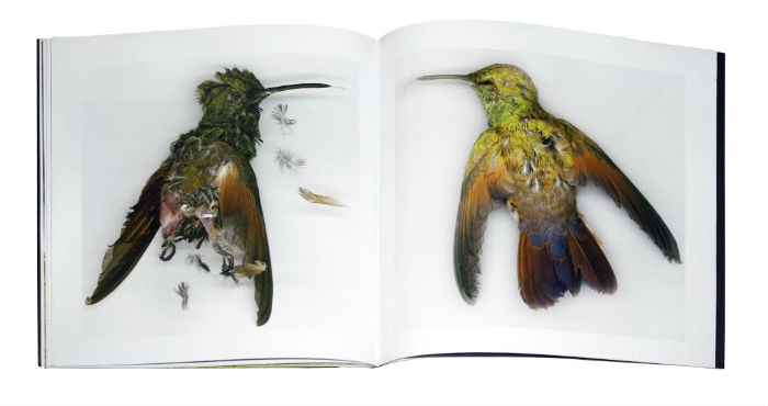 Un libro de la colección Luz Portátil. Foto: Revista Artes de México