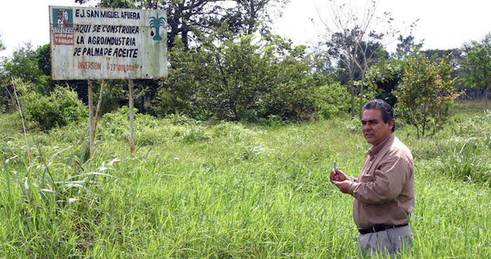 Los investigadores han creado un mapa global donde exponen qué zonas reúnen las condiciones adecuadas de temperatura, precipitaciones y tipos de suelo Foto: Cuartoscuro archivo