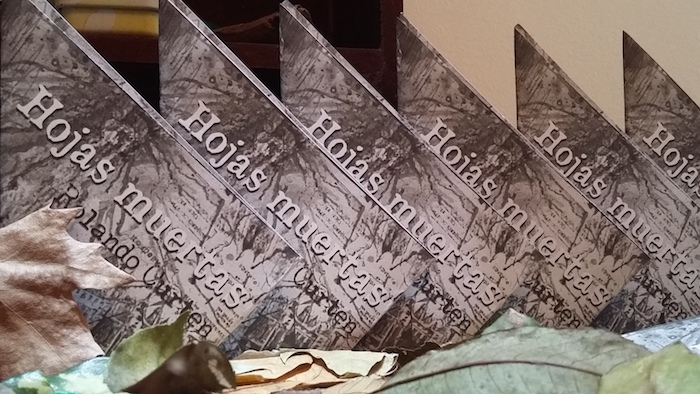 Una voz poética reciente en constante búsqueda desde la biografía personal hasta la biografía de la ciudad de la furia. Foto: Especial.