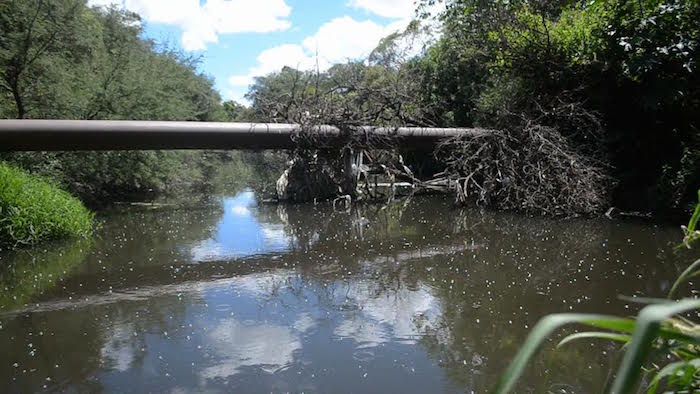 aefbb9e9-4fa3-4998-ba17-bc1a955836d9