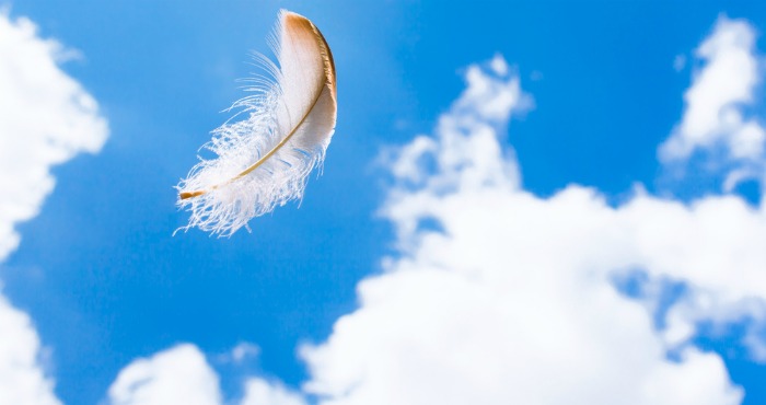 Imagina que te desplomas, cierras los ojos y te traga el mar. La tierra. Que ya ves. Que comienzas a descender. Que, al caer, eres la rama del ciego. La montaña. La pluma. El viento. Que, cuando caes, tienes tal como el hombre al que seguiste hace unos días, un tercer ojo en el corazón. Foto: Shutterstuck.