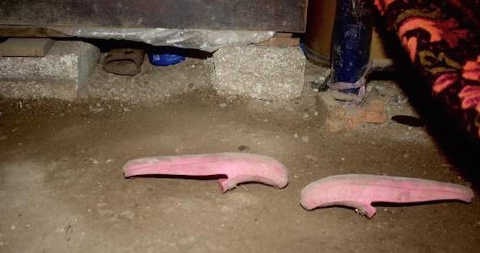 De acuerdo con la ficha de desaparición, Tomasa salió vestida con una blusa color rosada, falda hasta las rodillas, café, decorada con rosas blancas bordadas. Foto: Archivo BlogExpediente.