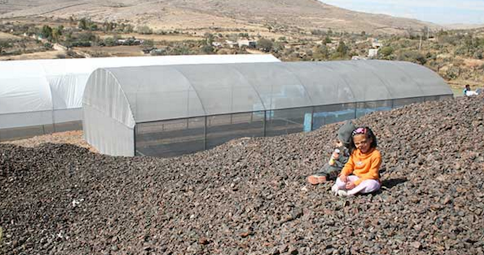 De acuerdo a Carlos Quintanilla Velázquez no hay riesgo para los niños.