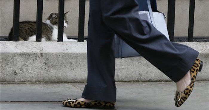 En la imagen, los zapatos de la secretaria de Interior británica, Theresa May, junto al gato Larry en Downing Street. Foto: AP