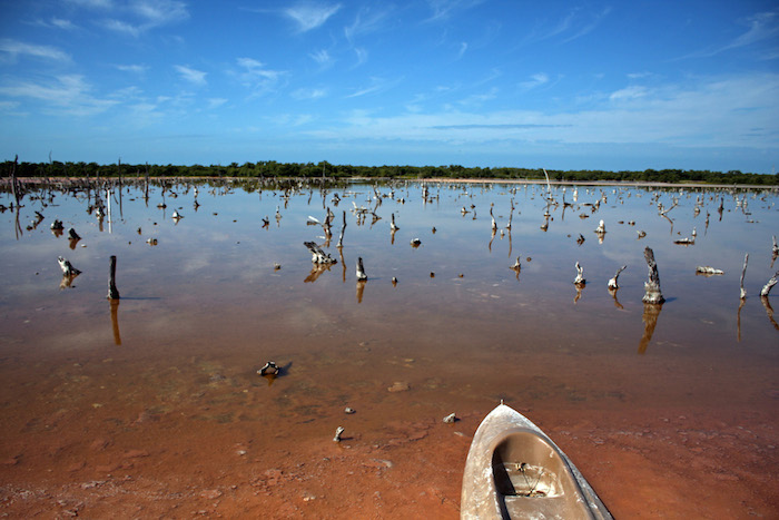 Fotografía de 1011 que muestra los estragos de la sequía en Celestún, Yucatán. Foto: Cuartoscuro