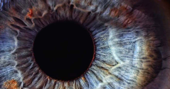 En sus investigaciones, los expertos comprobaron que se podían apreciar cambios en la parte posterior del ojo antes de que se manifestaran síntomas visibles de ese trastorno. Foto: Vía Twitter, @UTHEDU