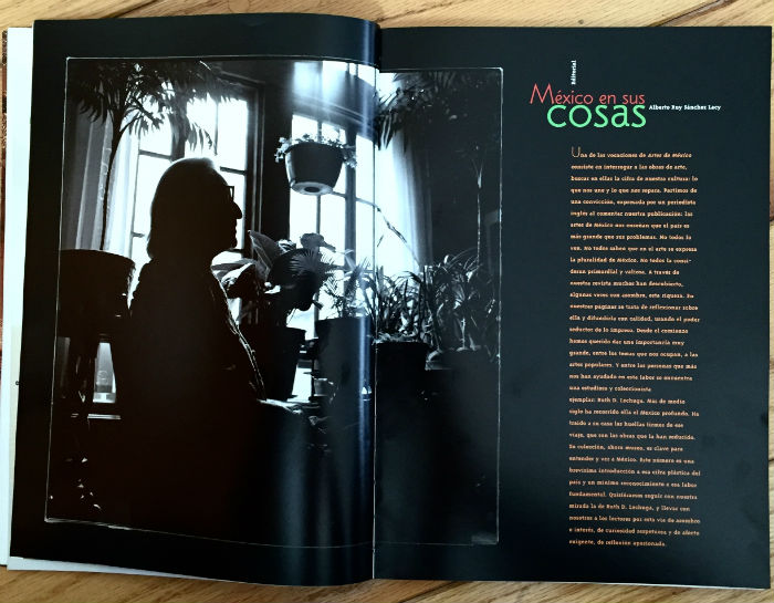 Ruth Lechuga y la mirada discreta. Foto: Revista Artes de México