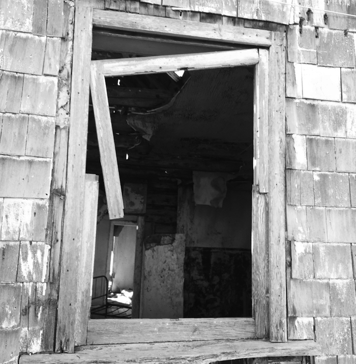 shutterstock_444373024 (1)