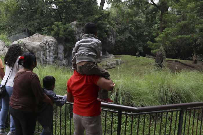 Familias visitan el zoológico de Chapultepec con fines recreativos. Foto: Cuartoscuro.