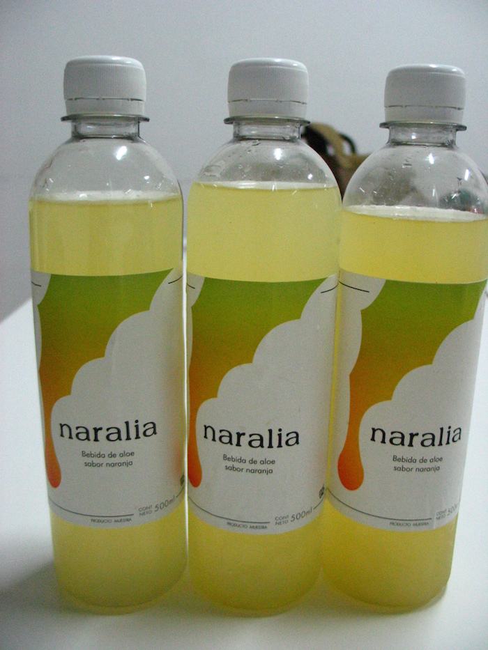 Naralia protege el estómago del exceso de picante y grasa. Foto: Agencia Conacyt