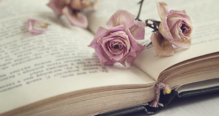 La novela obtuvo el Premio Frontera de Palabras/Border of Words 2013 y su trama sucede en San Quintín, Baja California, durante un verano. Foto: Shutterstock