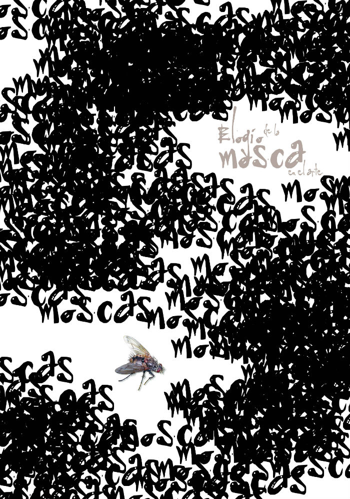 Lourdes Almeida. Foto: RAM