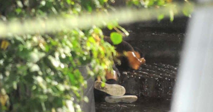 Tres de los cuatro hombres murieron en el lugar. Foto: Cuartoscuro