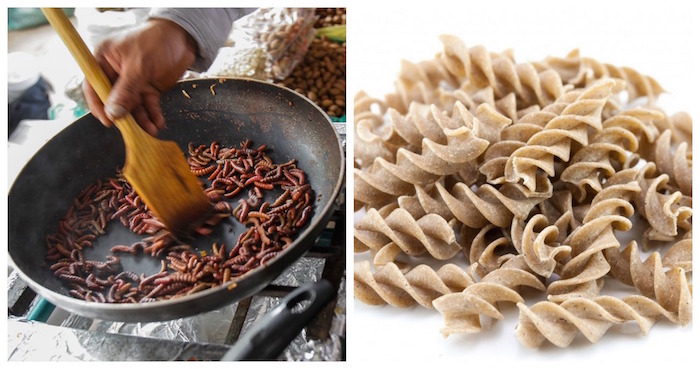 Grillos, saltamontes, gusanos de seda y cucarachas de agua son algunas de las más de 1.600 especies de insectos comestibles. Foto; EFE/Cuartoscuro archivo