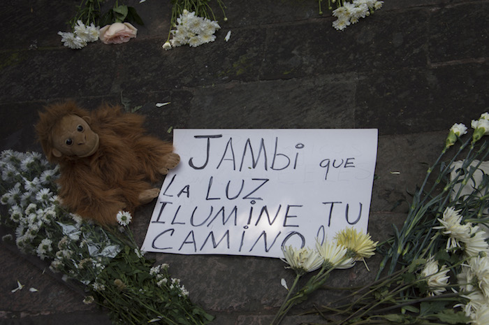 En julio de este año, integrantes del proyecto Gran Simio realizaron una protesta en las inmediaciones del zoológico de Chapultepec en donde colocaron una manta y algunos letreros con las imágenes de animales que han muerto dentro del recinto en años pasados. Foto: Cuartoscuro 