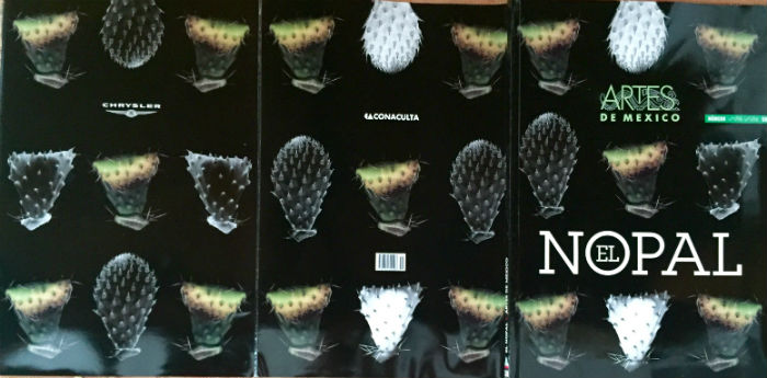 Septiembre más allá del Grito. Foto: RAM