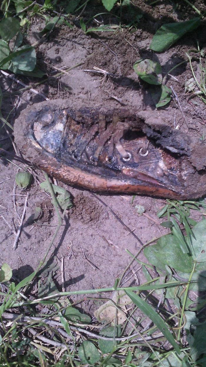 Foto: Blog Expediente