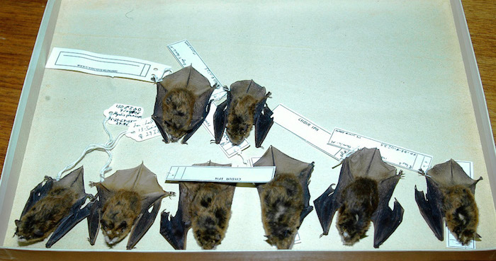 Foto: Cuartoscuro/Archivo