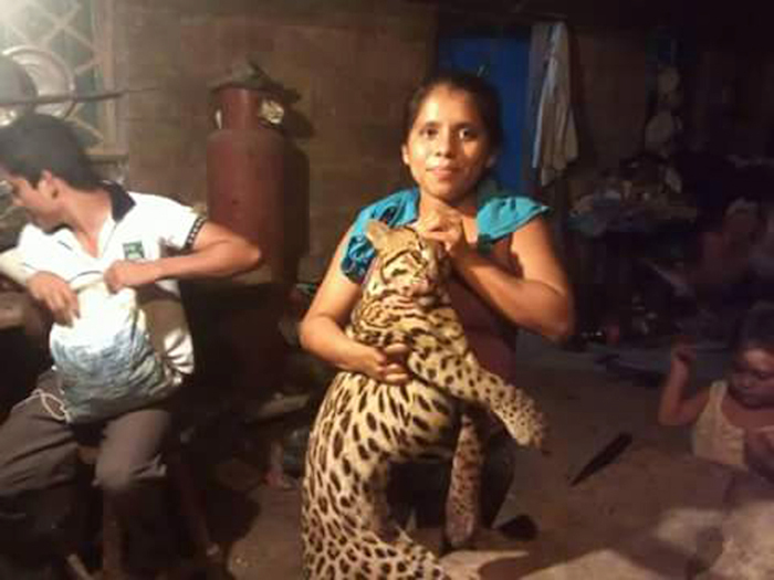 Una mujer de Tabasco posa con un ocelote muerto. Foto: Especial.