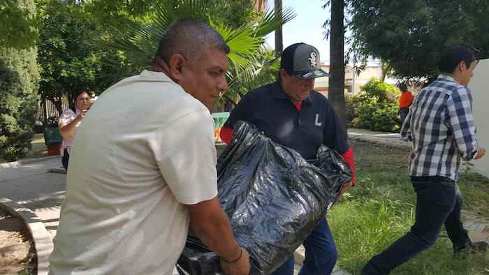 El joven colgó al perro de un árbol en la colonia Villas. Foto: Vanguardia.