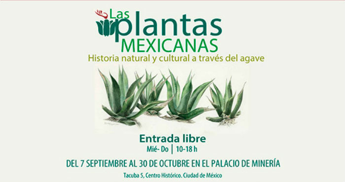 Foto: Palacio de Minería