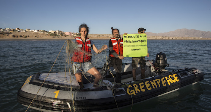 El Gobierno mexicano tiene una gran responsabilidad en sus manos, necesita cambiar la forma en cómo se atiende la problemática, apostando por políticas integrales que verdaderamente ayuden a la preservación de la especie. Foto: Cuartoscuro.
