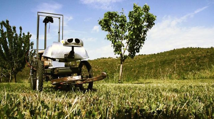 Los animales de Ferroluar son pieza de museo y de exhibiciones. Foto: ElDiario.es