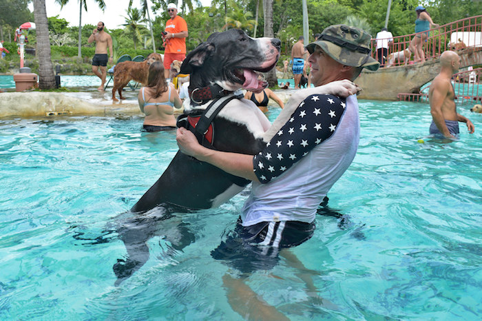 Un perro disfruta del agua con su amo. Foto: EFE/Giorgio Viera.